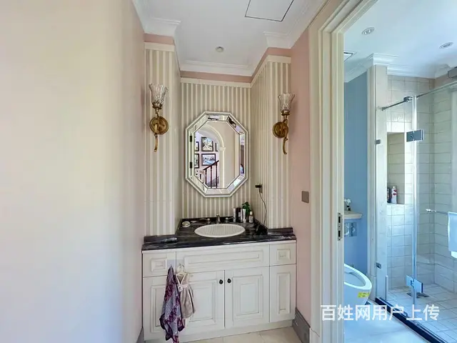业主急售 碧水庄园三期拙墅 花园400米 豪华装修 双车库 - 图片 7
