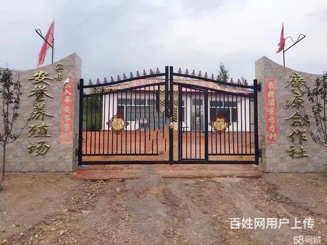 宾县城区万寿山养殖场出租出售 - 图片 4