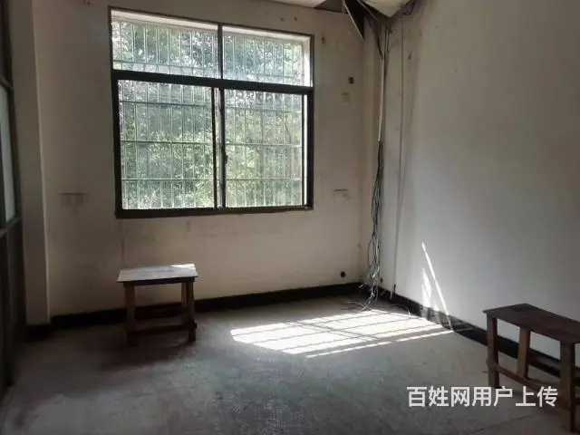（老板房源）岳麓区桃花岭村优质整栋商铺招租 - 图片 2
