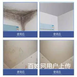 广州天河岗顶除霉公司，墙体去霉服务，房子顶部除发霉 - 图片 5
