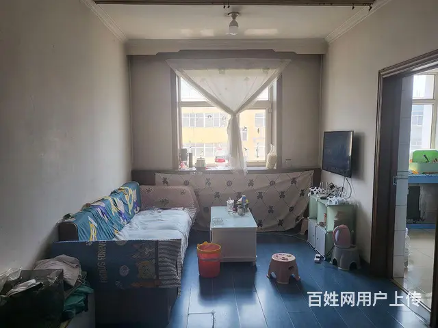 一家人 - 图片 4