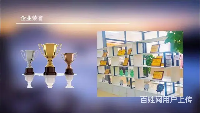 沈阳什么行业赚钱 - 图片 2
