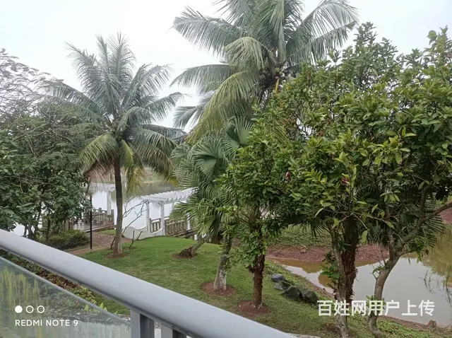 （51旺铺推荐）美灵湖别墅区500平别墅招租 - 图片 3