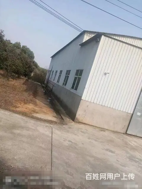 （老板本人）望城独门独院仓库/厂房房东优价直租  6296 - 图片 2