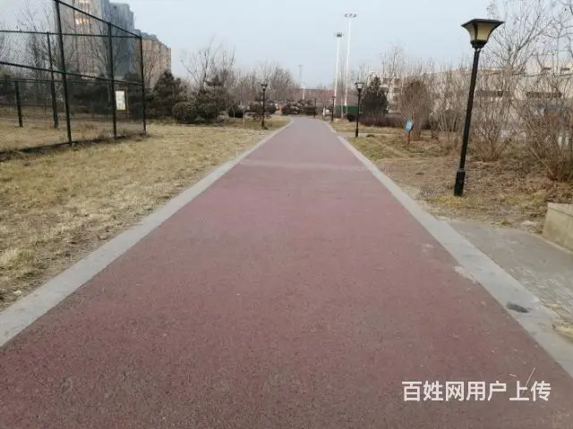 找个女子 - 图片