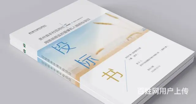 枣庄标书制作【帮助客户做好每一份标书】 - 图片 2