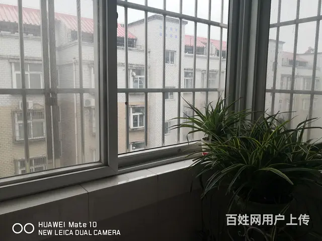 房屋出售 - 图片 2