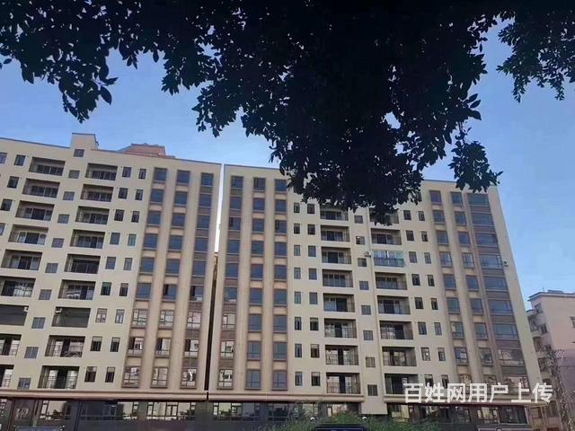 大朗中学旁松湖智汇城自带停车场特价4700一平