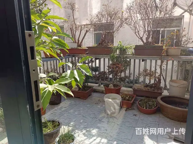 嘉和花园  精装修好房，赠送2个大露台，价格便宜，拼手速！ - 图片 7