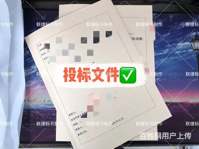 辽采、国网等项目投标、标书写作排版 - 图片 1