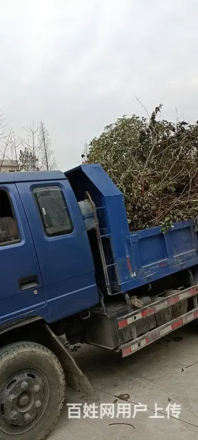 新红运输经营部 - 图片 2