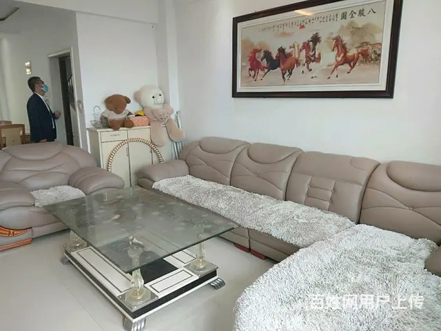 业主狂甩超超值,精装售 - 图片 4