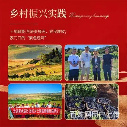 翁虹自创绯虹干红葡萄酒 - 图片 5