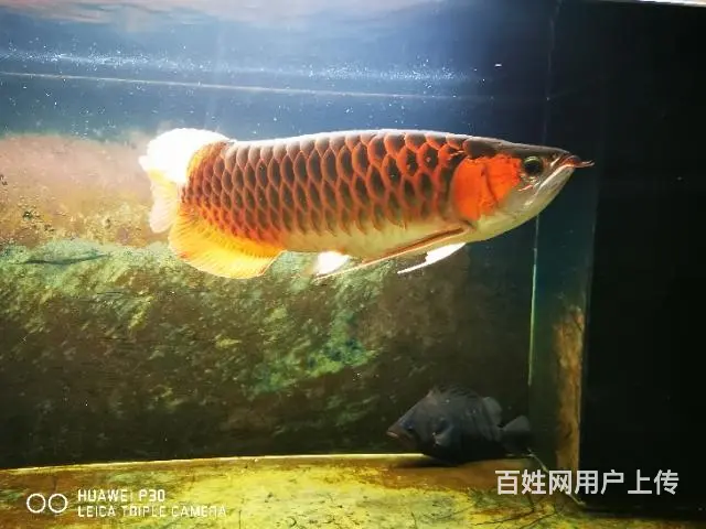 上岸！！ - 图片 7