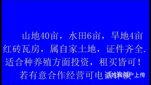 当阳市淯溪镇农村土地流程50亩林地 山地，旱地水田出租，出售 - 图片 2