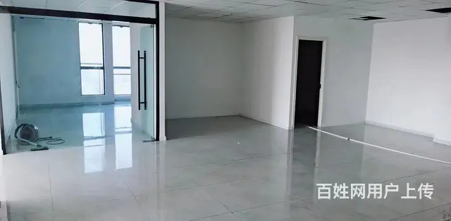 金鹏国际 - 图片 3