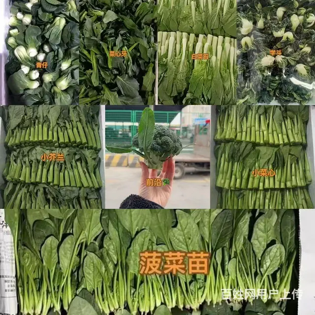 厦门食材供应、蔬菜配送、食堂承包。 - 图片 5