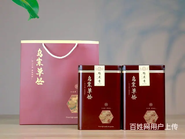 至诚茶业凤凰单丛鸭屎香2023年新茶雪片茶500g - 图片 2