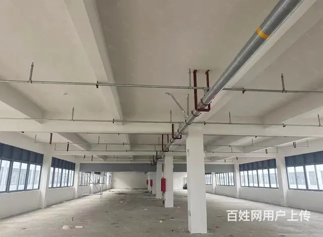 （3-5吨货梯）1200至7千平厂房出售，丙类消防，内墙粉白 - 图片 6
