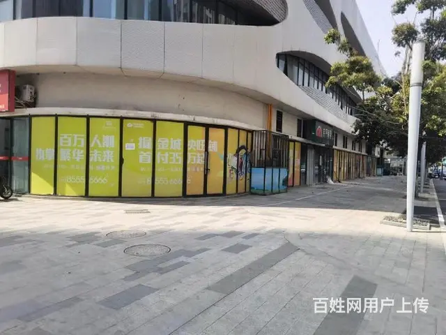单价9转角商铺 20个车位 市中心送4套一楼商铺 沿街现铺 - 图片 7