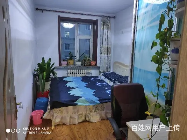 精品，日租，短租，民宿 - 图片 3