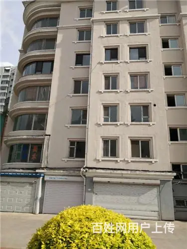 电梯江景洋房（城市里的别墅）出售 - 图片 4