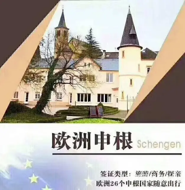 专业代办各国出国签证 出国签证办理 - 图片 5