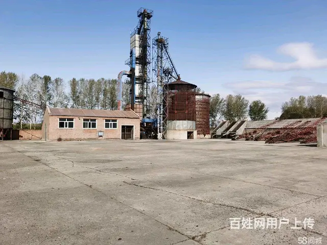 呼兰城区长岭镇厂房出售 - 图片 5