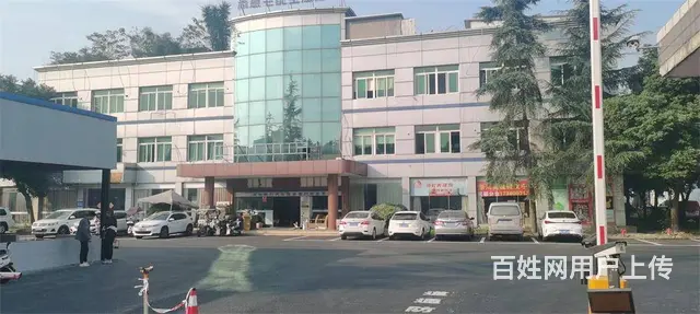 出租双流蛟龙工业港1500平米厂库房 - 图片 7