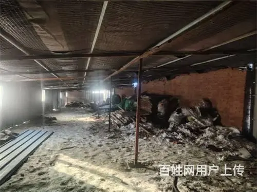 江密峰胜利村厂房养殖场出租 - 图片 9