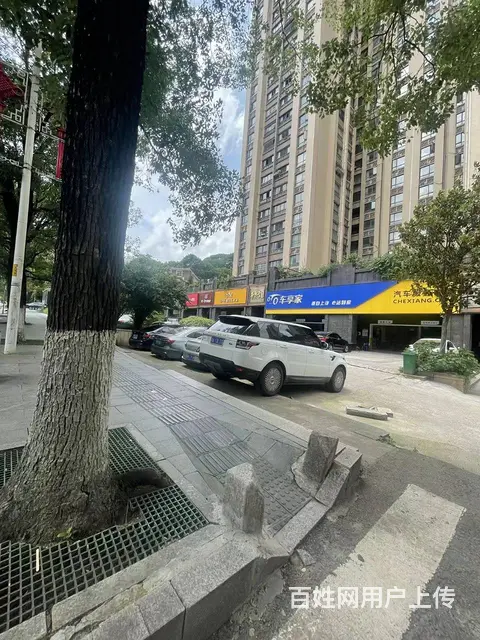 个人香樟兰亭成熟小区精装门面出租(房东直租) 编号3013 - 图片 5