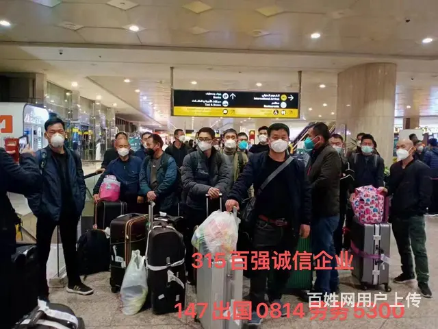沈阳出国劳务新西兰奶粉厂包装工工作轻松不加班 - 图片