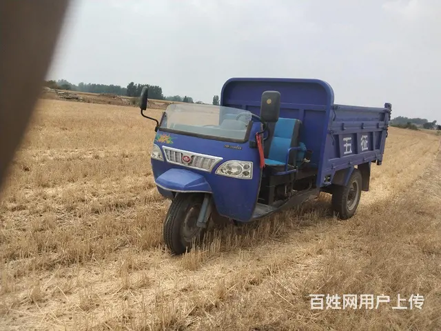 车好 - 图片 2