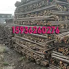 郑州杉木杆批发  大量直销：杉木杆.固林绿化支撑杆