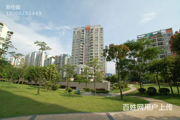 白天鹅花园三期 2房精装 为我吐艳喷香 调制诗选 - 图片 10