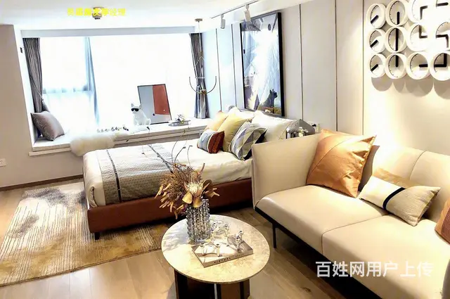 萧山机场   loft公寓4.78米  即   总 - 图片 1