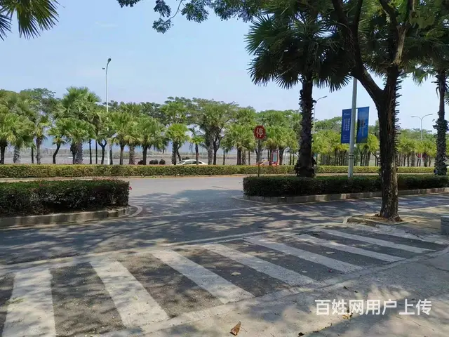 （51旺铺推荐）凤凰路400平整栋出租 - 图片 8