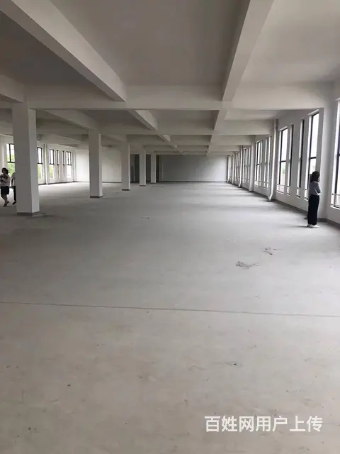 莘庄工业区新建独门独院104地块科创办公生物医药研发，可分租 - 图片 8