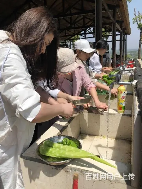 合肥蓝山湾大锅灶收费，预定 - 图片 8