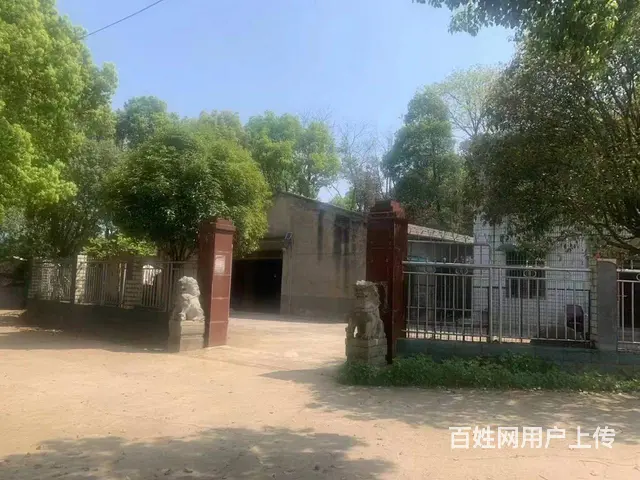 A（个人）含浦独门独户厂房优价出租编号9081 - 图片 3