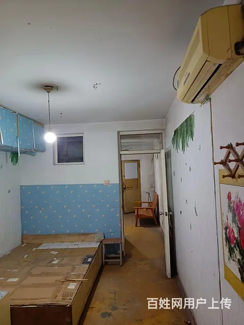 二三市场三十三中十中三院煤港路小学 - 图片 2