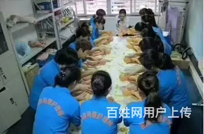 出国挣钱澳洲保签高薪聘保姆木工瓦工司机厨师名额有限 - 图片 6