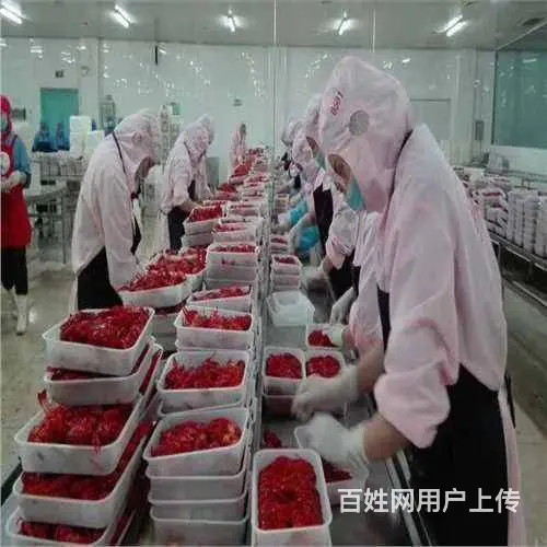 吃过劳务澳大利亚招包装工采摘工货运司机年薪50万 - 图片 2