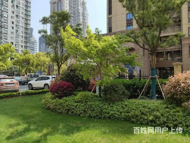 文教南58.10平精装修空房出租 - 图片 7