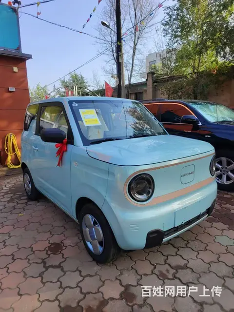 吉利 熊猫 2015款 熊猫EV EV - 图片 3