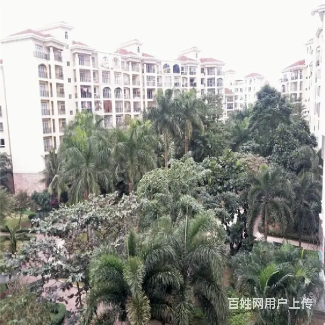 龙湖光年 商圈        四季华庭2房 - 图片 11