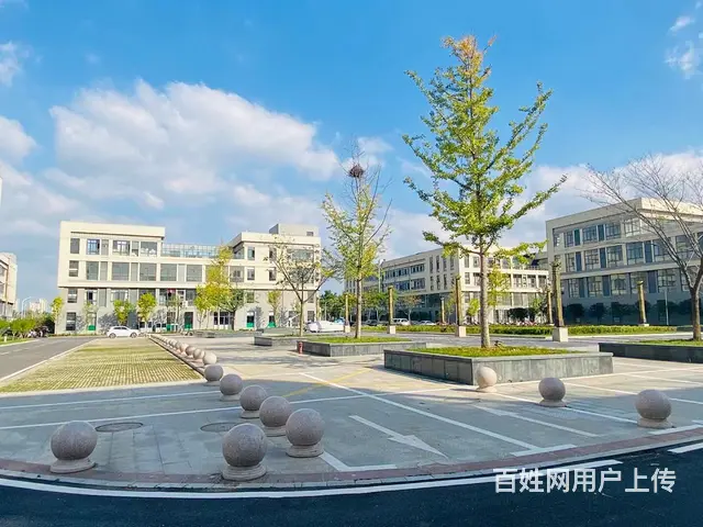 六安城南40平，80平，120平办公室 - 图片 3