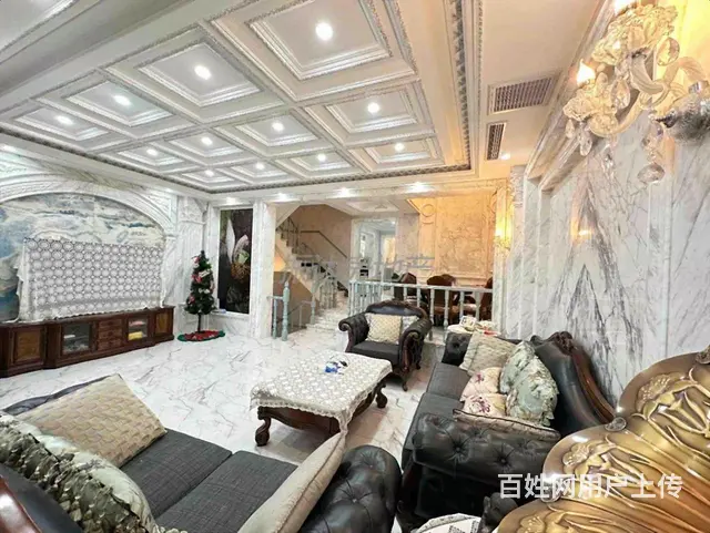 公园里的别墅 现代轻奢豪装共 挑空设计 双车位使用550 - 图片 3