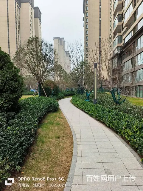 金科绿都天辰 普通住宅2厅 简单装修 - 图片 7
