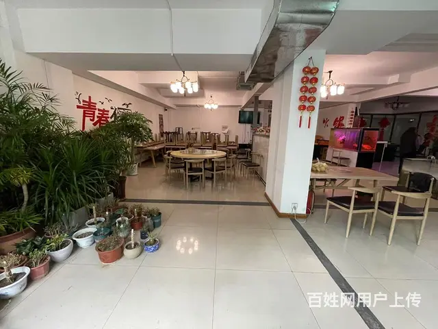 张店区西二路沿街旺铺出租 - 图片 3
